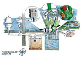 PhytoSystem avloppsrening med biobädd