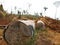 100 miljorganisationer krver EU-lag mot avskogning